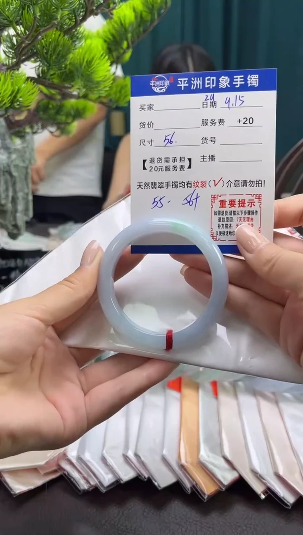 未镶嵌手镯翡翠（有鉴赏期）28
