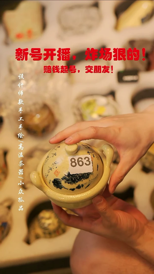863溯本瓷片瓷片******