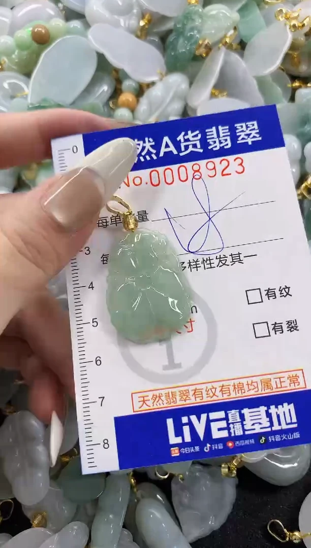 颈饰未镶嵌翡翠天然A货翡翠