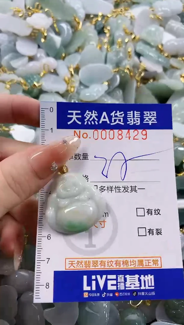 颈饰未镶嵌翡翠天然A货翡翠