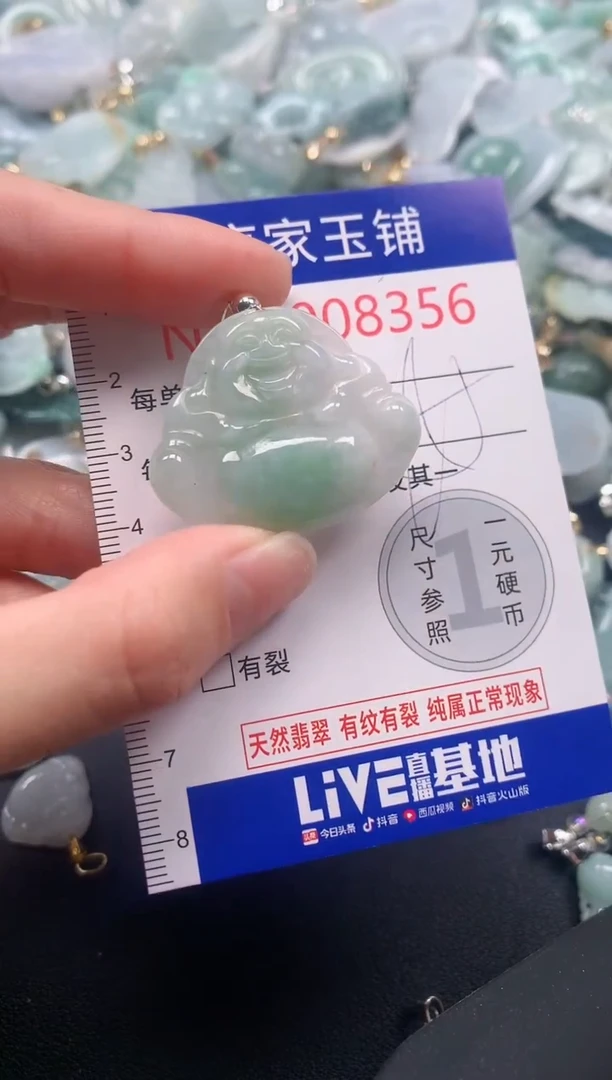 颈饰未镶嵌翡翠8357