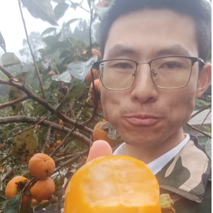 脆甜可口芦峰脆柿子新鲜现摘应季水果