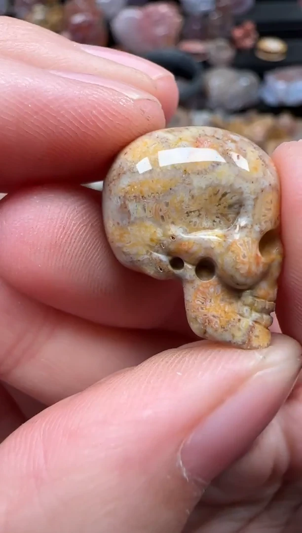 颈饰未镶嵌硅化珊瑚（珊瑚玉）313