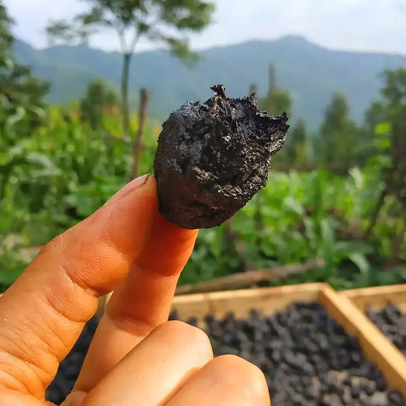 精品九制地黄九蒸九晒熟地黄泡酒炖汤零嘴软糯香甜