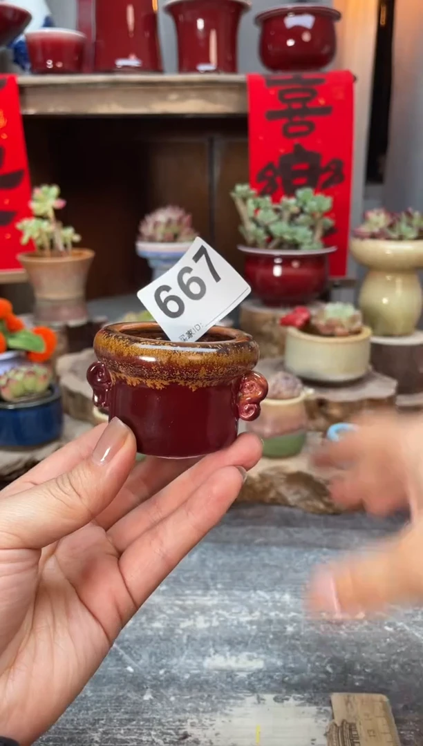 【闪购商品】摆件667知木小芳花盆
