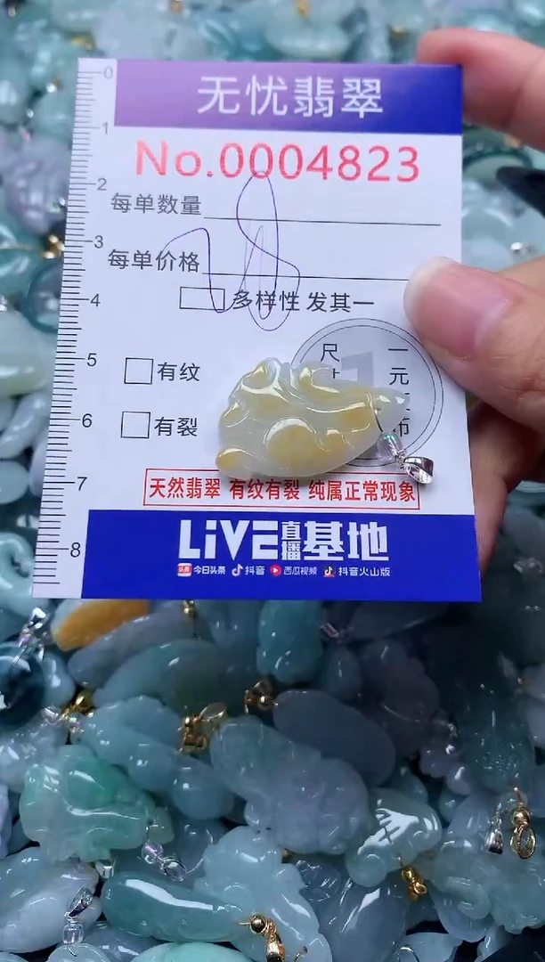 颈饰未镶嵌翡翠4823