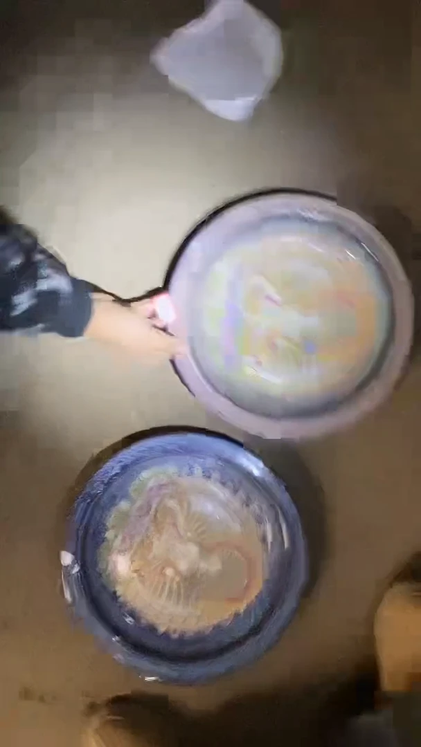 Q76景德镇高端瓷器