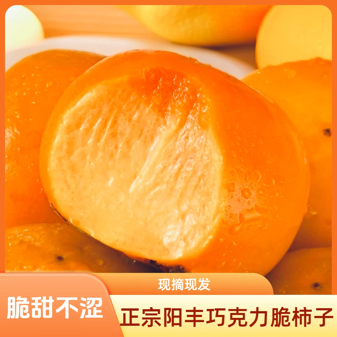 【正宗冰糖心巧克力脆柿】脆甜柿子新鲜水果自然成熟果园直发