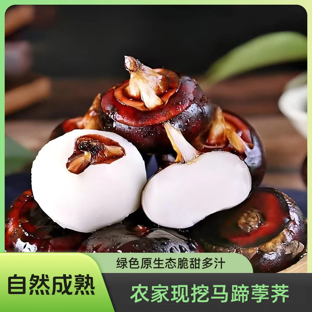 【精选马蹄】新鲜马蹄当季整箱新鲜时令水果蔬菜脆甜多汁产地直发