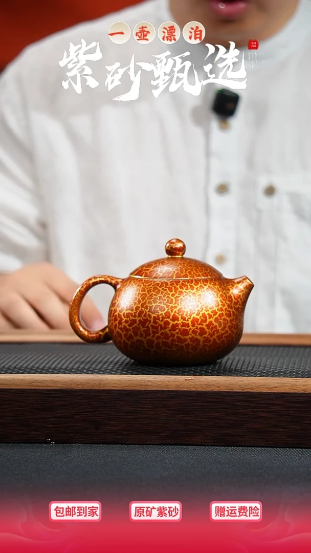 茶壶紫砂 一壶漂泊紫砂茶器5012