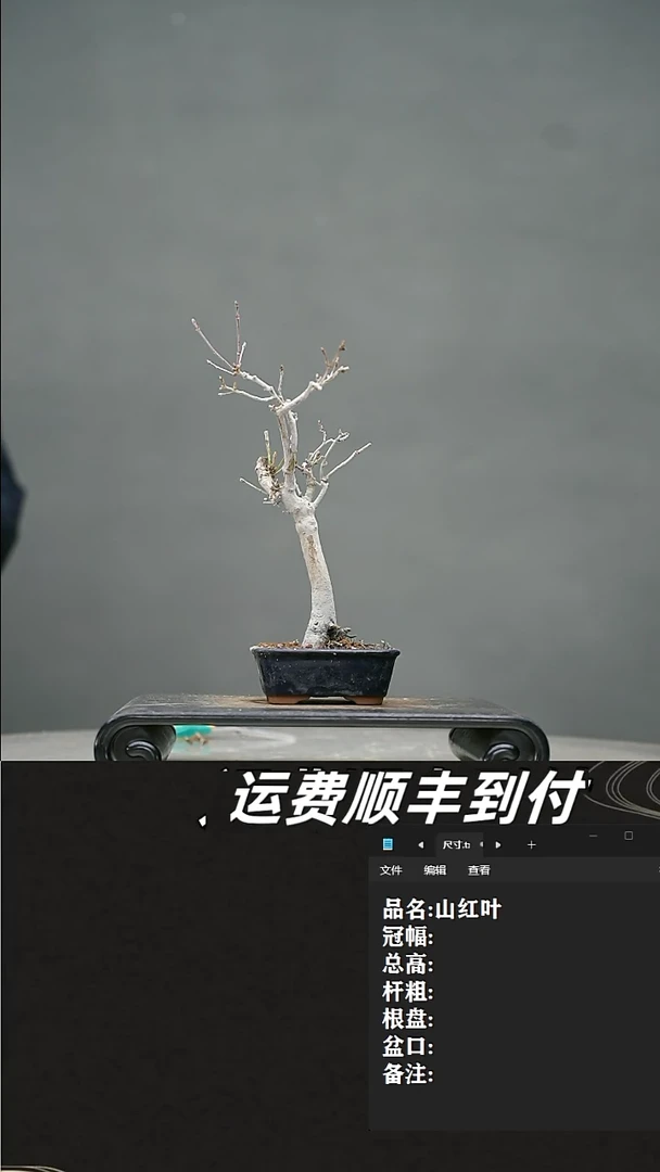 【闪购商品】5