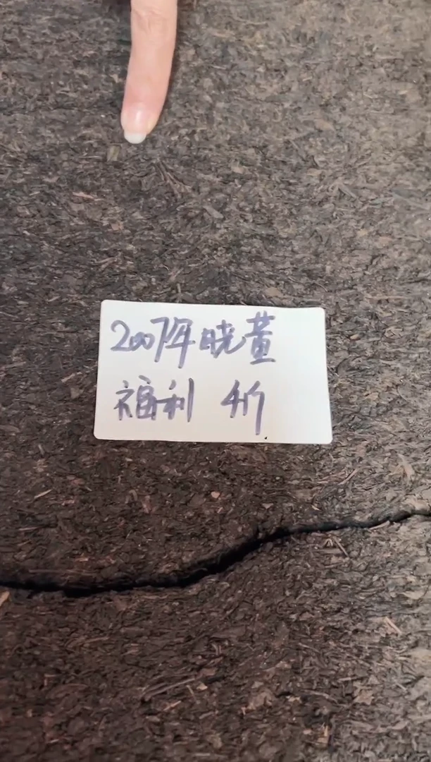 高马二溪 2007年 晓董福利 茯砖茶 4斤