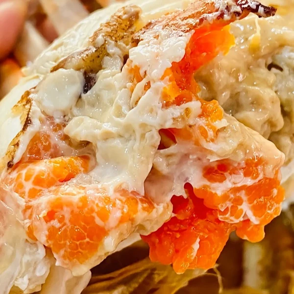 4.3两【全母】10只活蟹 江苏精品大闸蟹