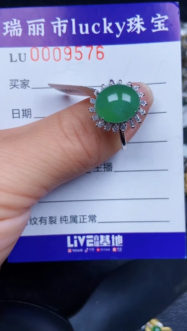 翡翠银S925镶嵌颈饰9576