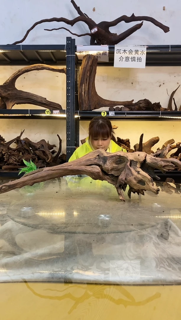 【闪购商品】柚木木艺鱼缸造景沉木950