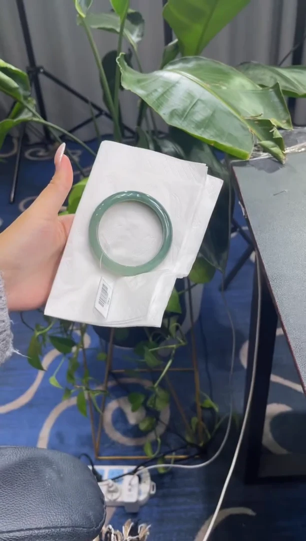 未镶嵌手镯翡翠5981****