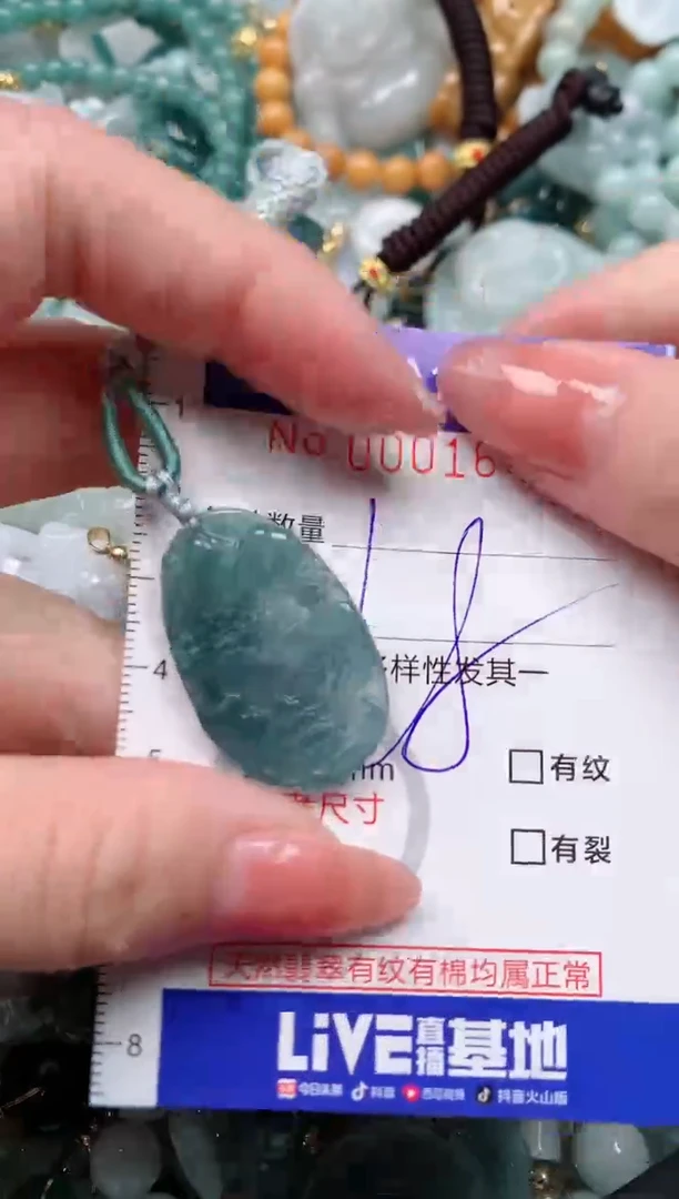 【闪购商品】翡翠颈饰未镶嵌00001645