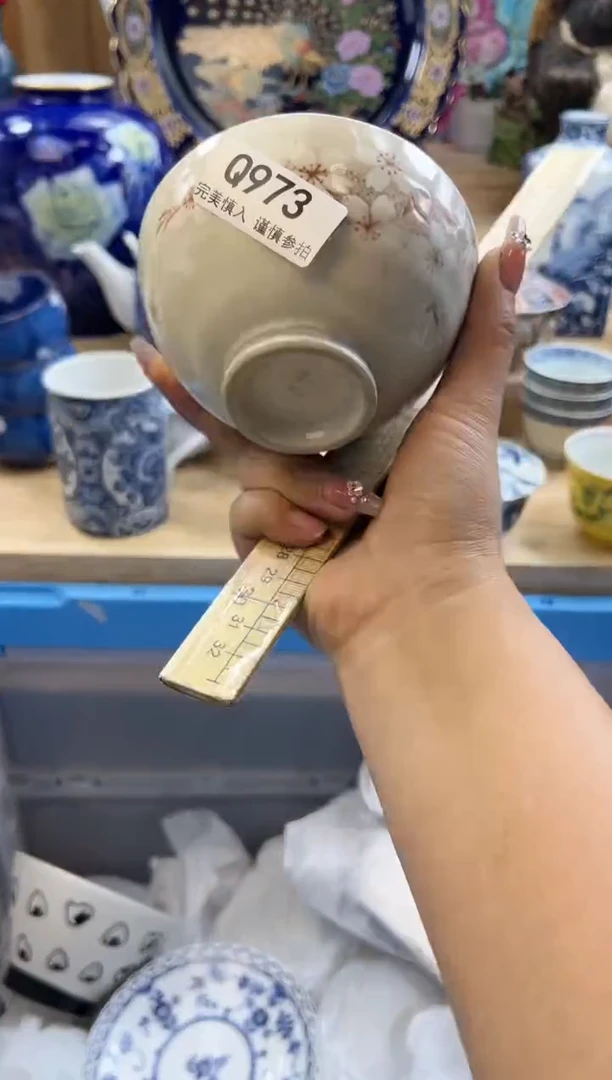 【闪购商品】瓷片973qqqqqqqqqqqq