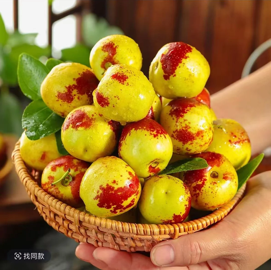 包邮正宗陕西大荔冬枣（5斤特卖款）新鲜现摘现发巨甜爆汁当季鲜果