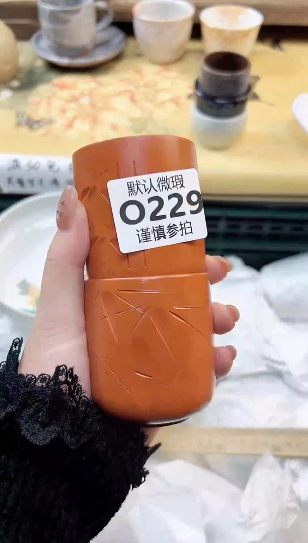 瓷片素* 229