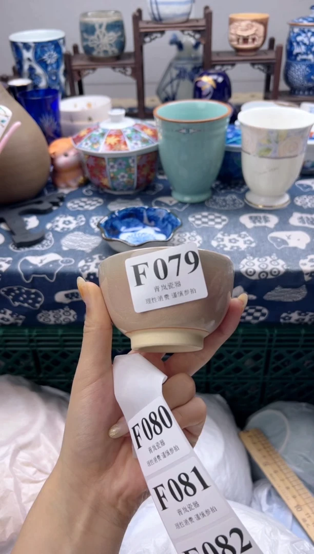 瓷片s****r    F079