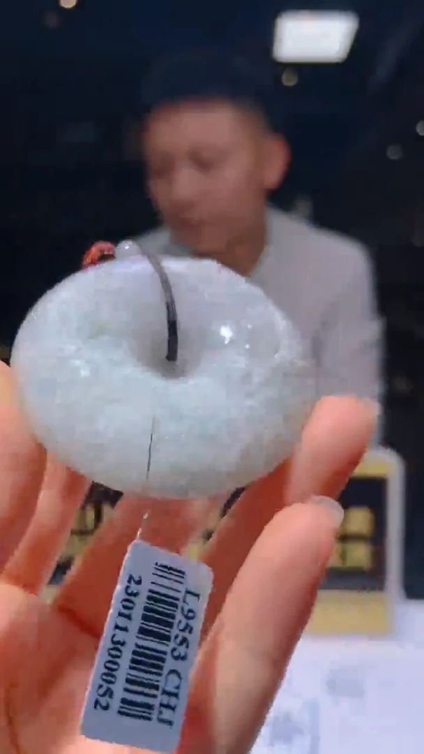 【闪购商品】翡翠颈饰未镶嵌毛货闪购链接LYH006