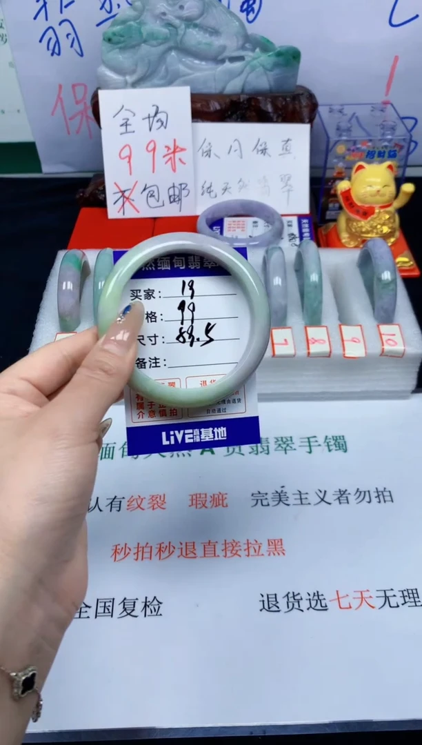 未镶嵌手镯翡翠19