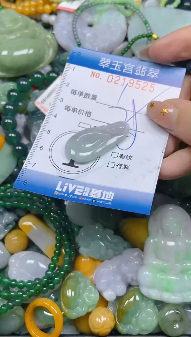 颈饰未镶嵌翡翠闪购C0219525