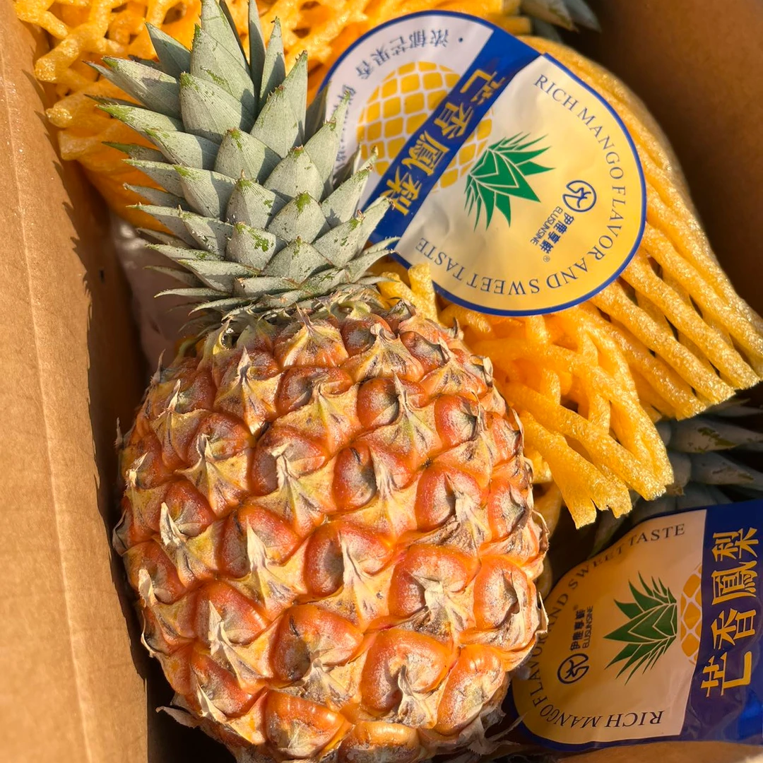 海南空运芒果凤梨
