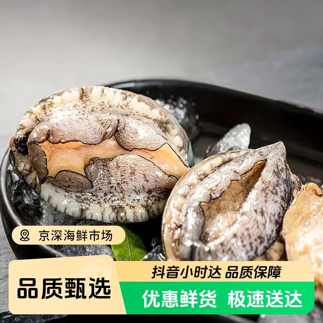 【鲜活】大连鲍鱼  单只装  （点击进入购物车选规格）