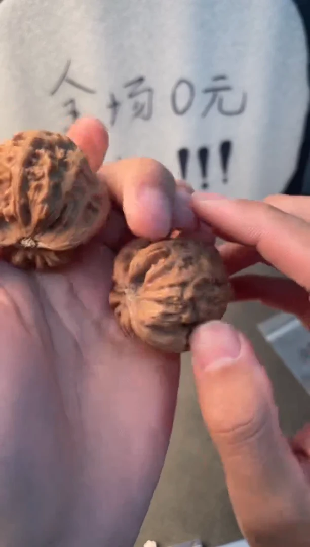 吊坠文玩核桃昆仑 原树 14号