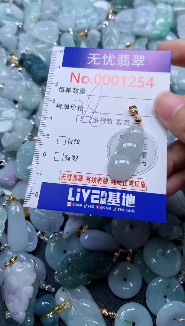 颈饰未镶嵌翡翠1254