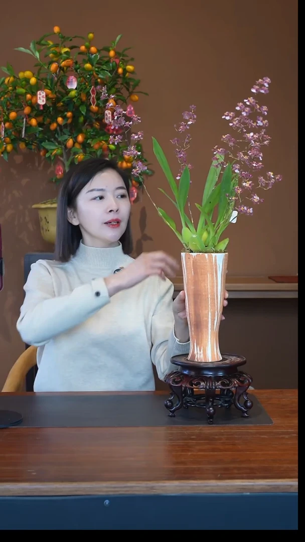 全部花朵香宝贝盆景盆景盆景