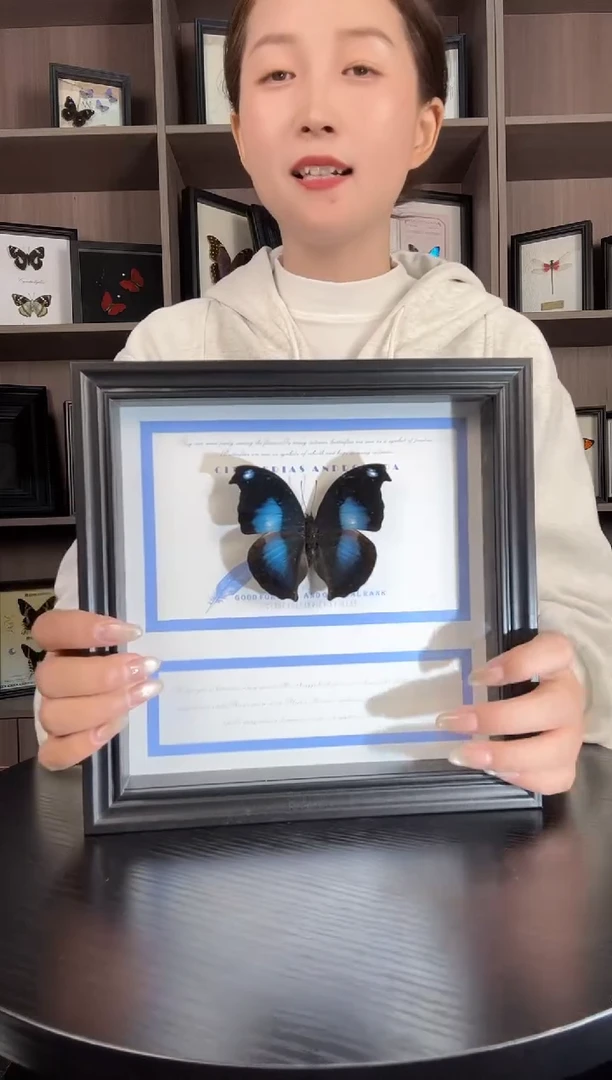 实木竖款爱情鸟蛱蝶（蝴蝶装饰画8寸框）