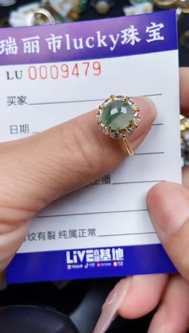 翡翠银S925镶嵌颈饰9479