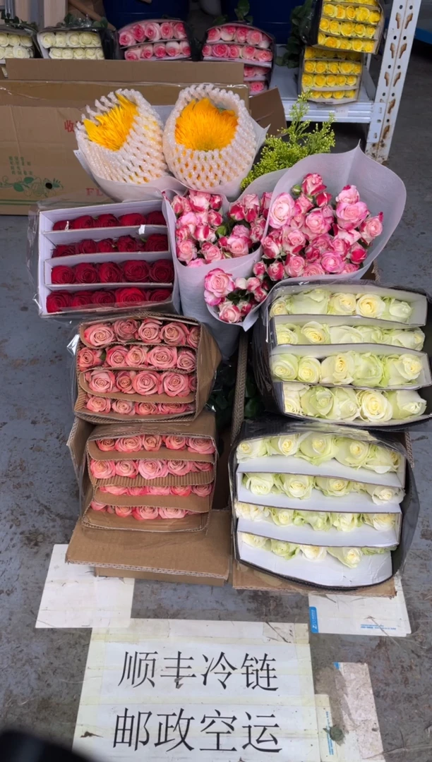 卡布2扎+白雪山2扎+高原红1扎+折射2扎+黄莺+泰迪2枝