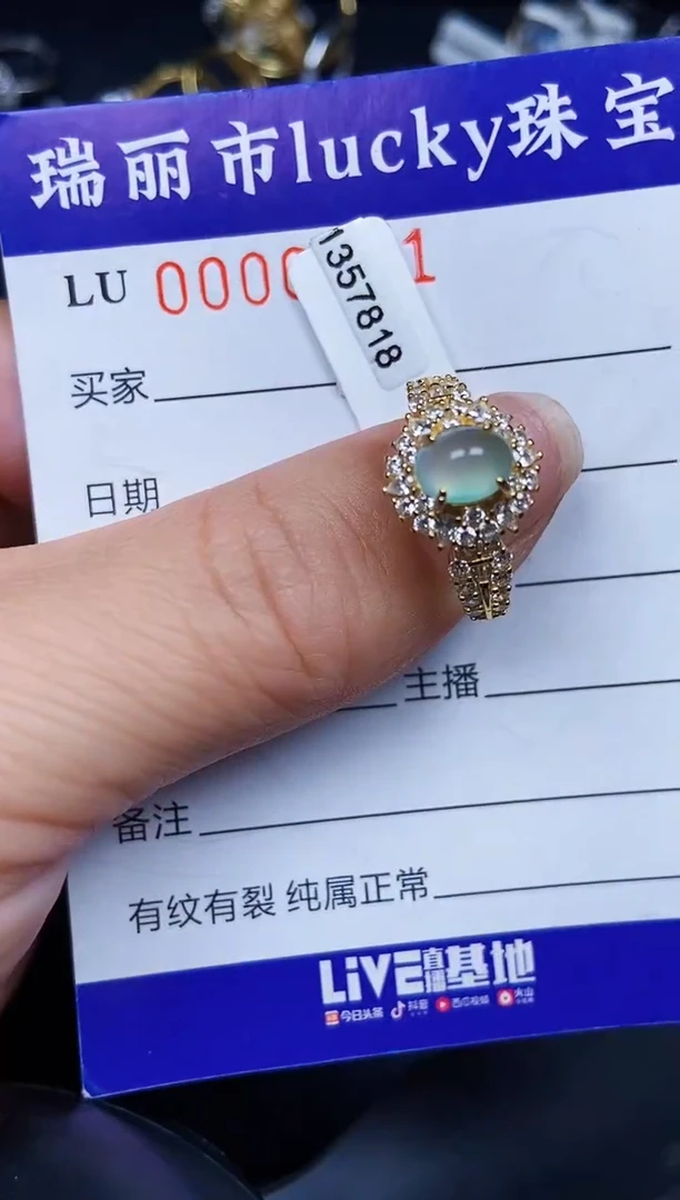 翡翠银S925镶嵌颈饰0541