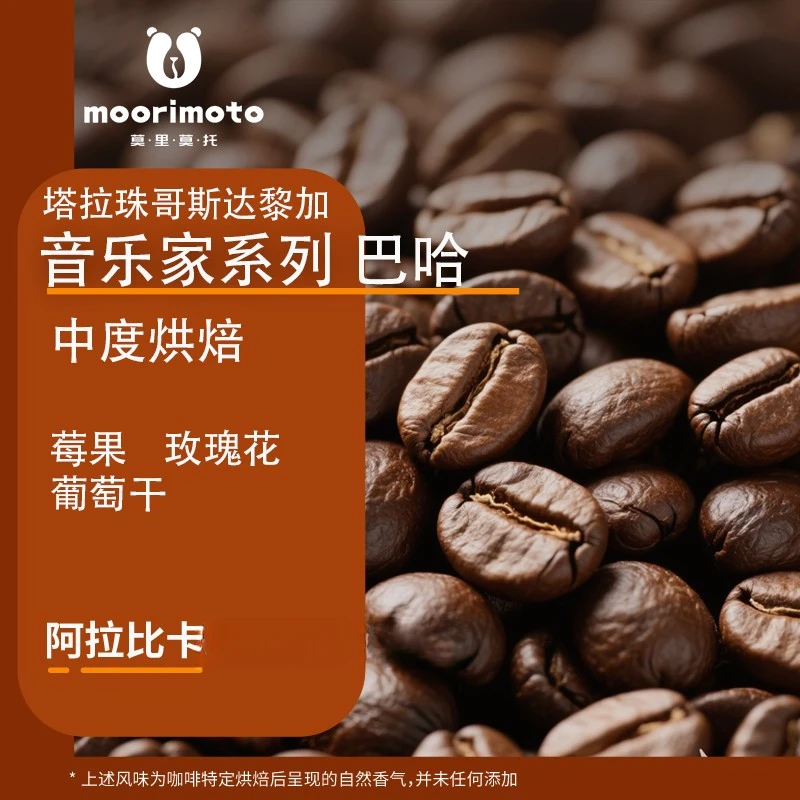 巴哈哥斯达黎加音乐家系列葡萄干蜜处理手冲冷萃精品咖啡豆100g