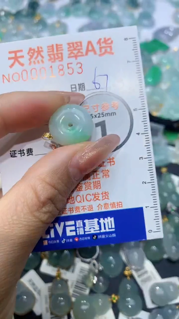 【闪购商品】翡翠颈饰18K金镶嵌天然缅甸A货翡翠67