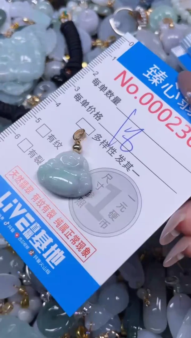 颈饰未镶嵌翡翠2364