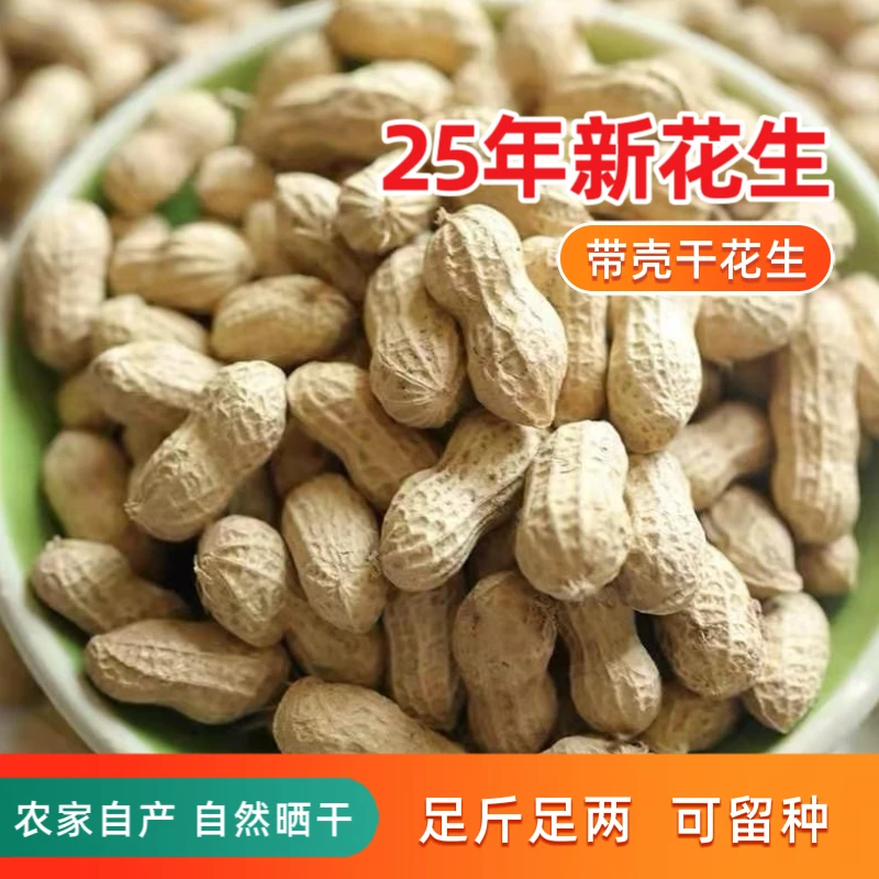 【生花生】25年当季传统种植白沙果干花生人工挑选干净榨油做种子
