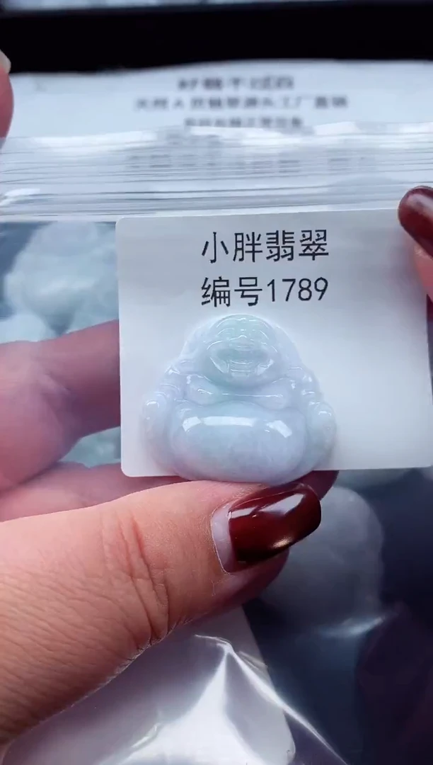 颈饰未镶嵌翡翠缅甸天然A货翡翠1789