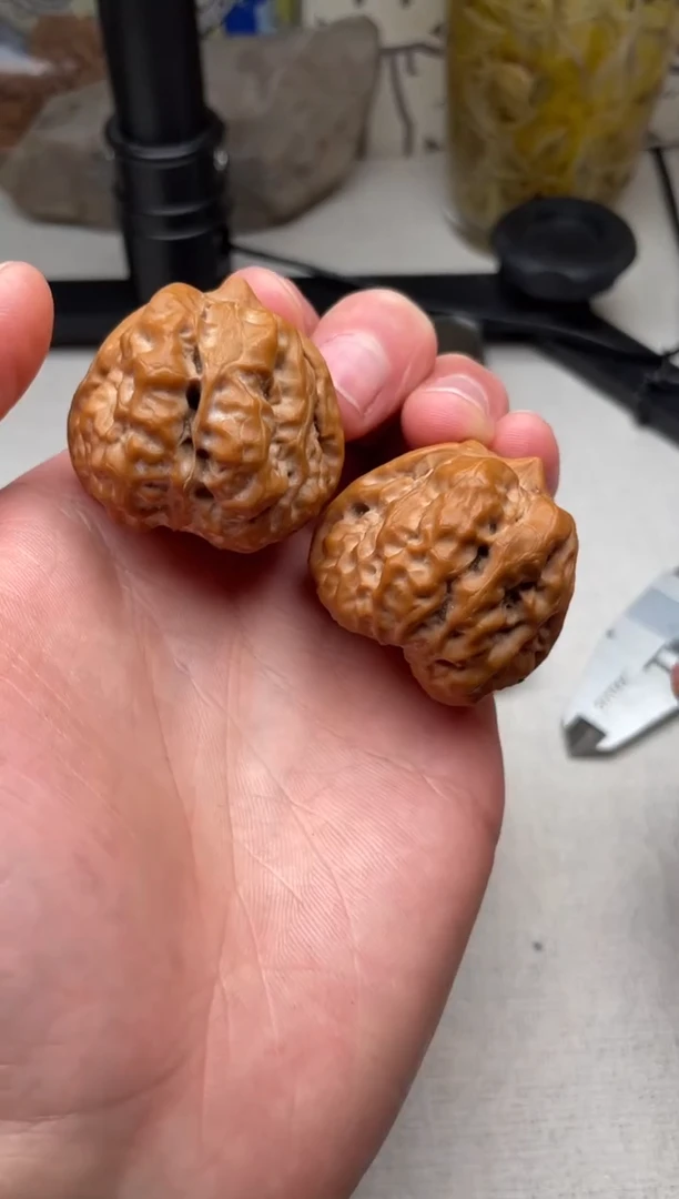 把件文玩核桃三角蛙