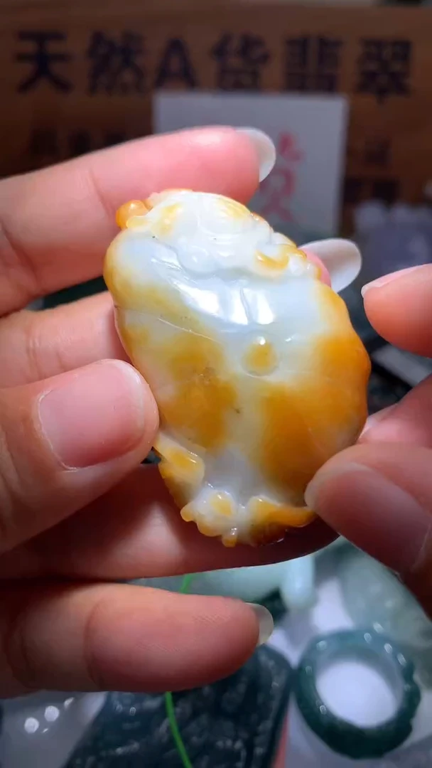 【闪购商品】翡翠颈饰未镶嵌保真天然A货翡翠