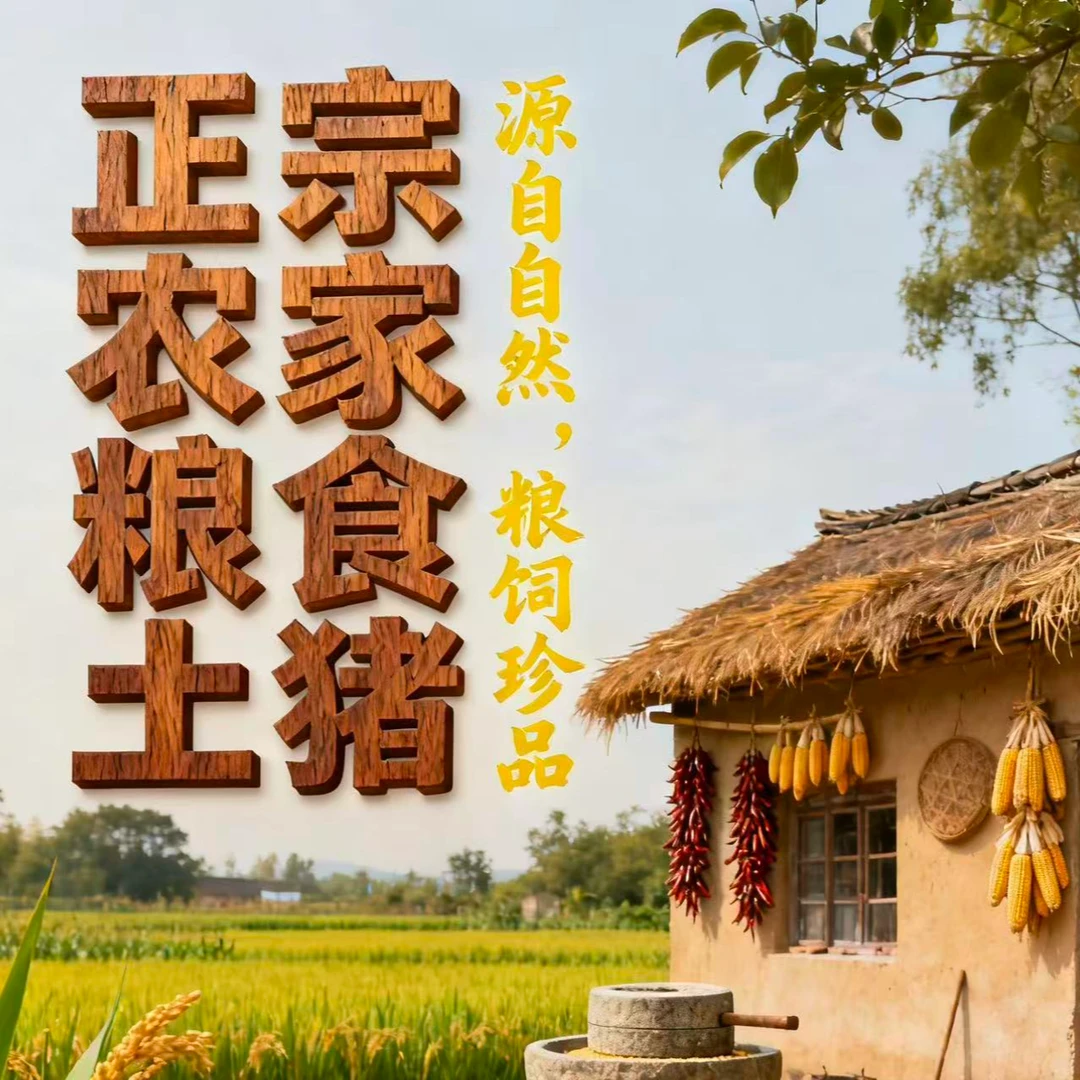 【排骨王】正宗农家粮食土猪排骨一年半土猪排骨京东冷链速冻发货