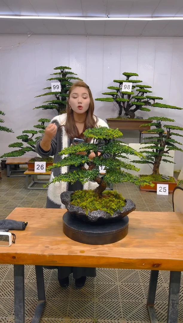 无花朵一物一拍一物一拍