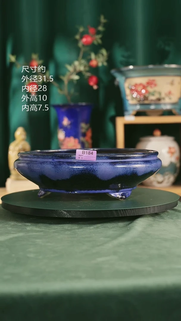 诗**诗184
