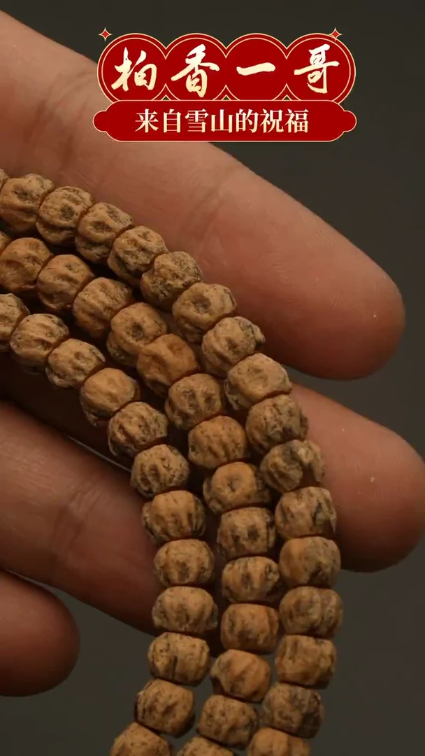 【闪购商品】柏香籽/百香籽吊坠0033