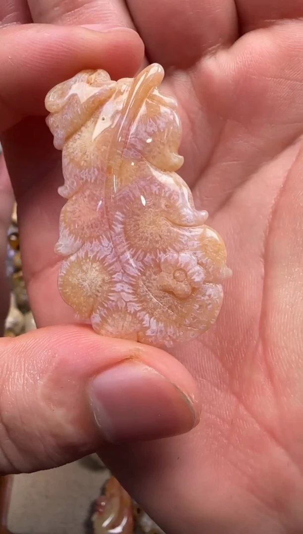 【闪购商品】硅化珊瑚（珊瑚玉）颈饰未镶嵌551