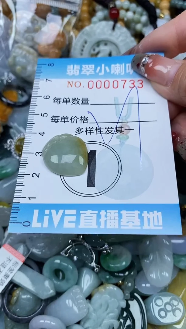 【闪购商品】翡翠颈饰未镶嵌闪购0000733